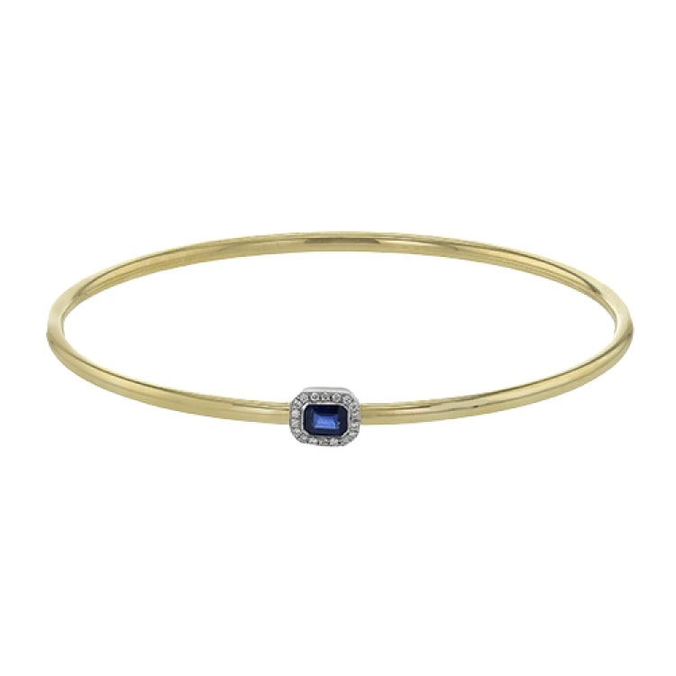 LB2494 COLOR BANGLE