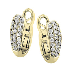 LE4619-Y HOOP EARRING